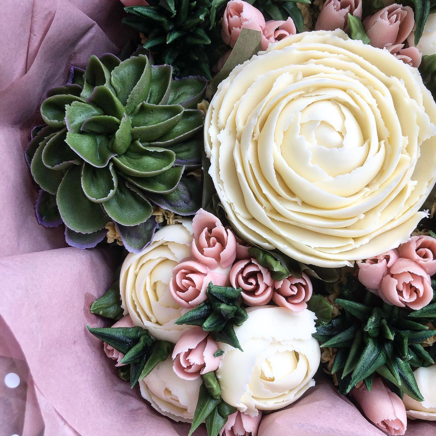 Succulents