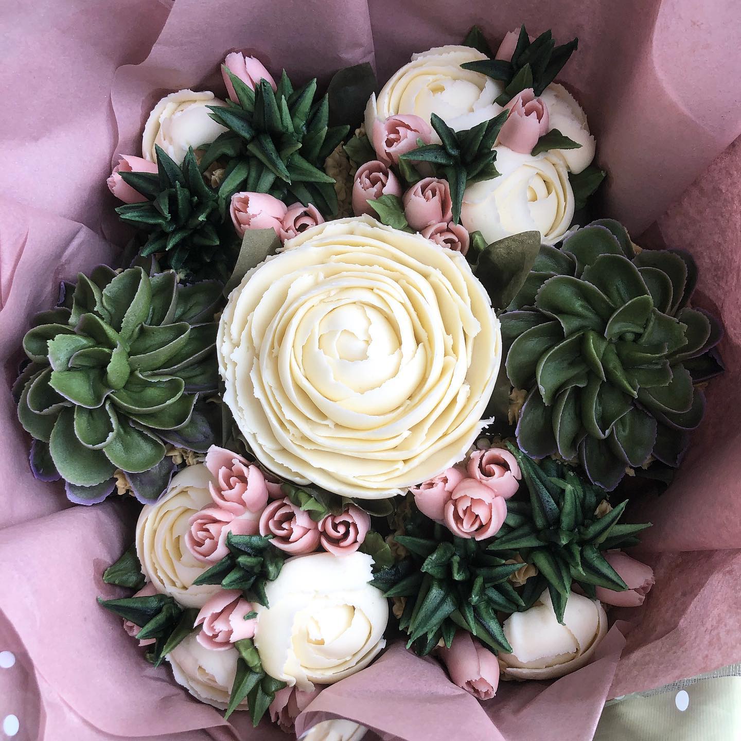 Succulents