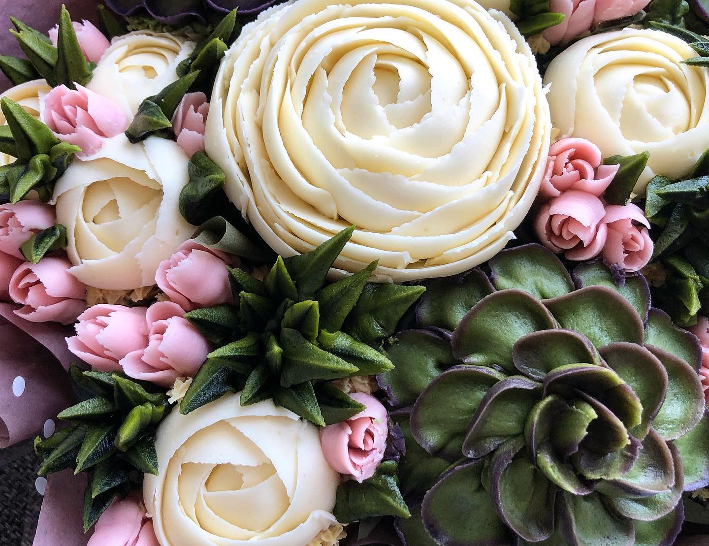 Succulents