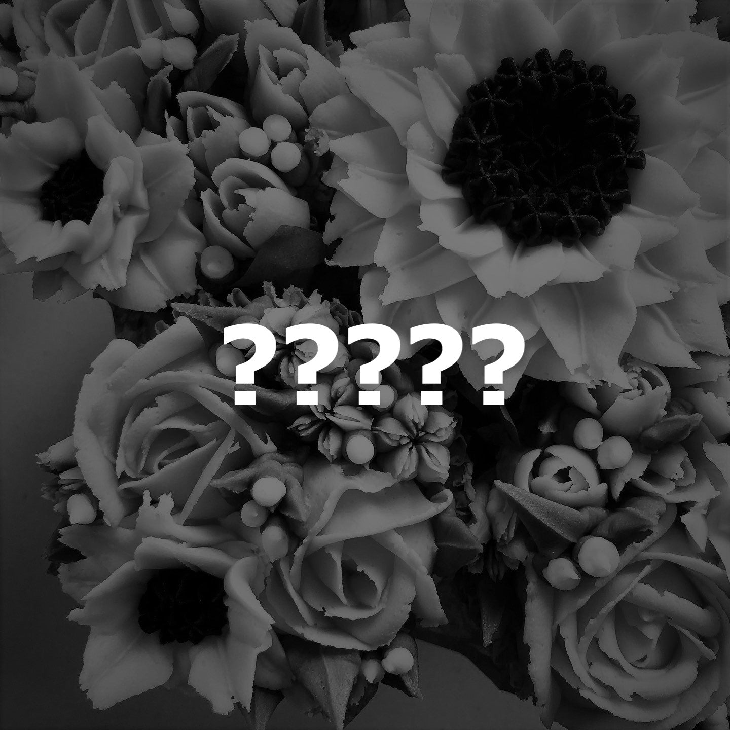 Classic Designer's Choice